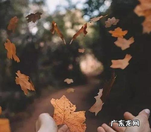 【抖音文案】暖人心的句子才能打动人心