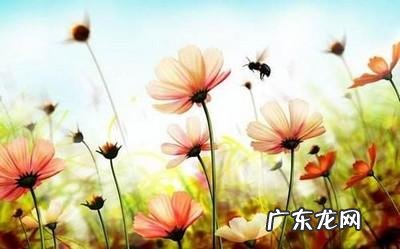 婚礼祝福句子唯美短句 【抖音文案】婚礼短句唯美句子