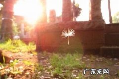 晚安忧伤的句子唯美短句 【抖音文案】唯美语句淡淡忧伤短句