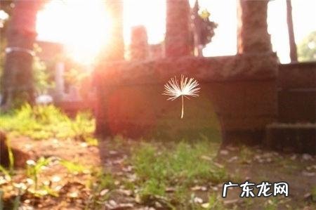 晚安忧伤的句子唯美短句 【抖音文案】唯美语句淡淡忧伤短句