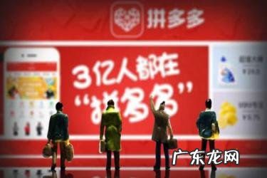 拼多多查看商家电话技巧 拼多多商家怎么设置多个价格？技巧分享做拼多多商家需要什么