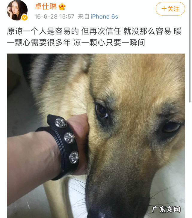 卓仕琳生宝宝了么?卓仕林离婚了吗?