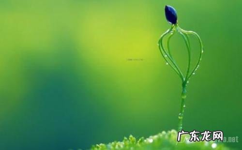 人生感悟的句子简短的 【抖音文案】人生感悟的最美句子