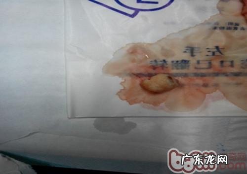 一例犬子宫蓄脓和子宫肌瘤的医治