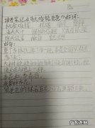 优美句子摘抄大全100简短 【抖音文案】100字的好句子摘抄