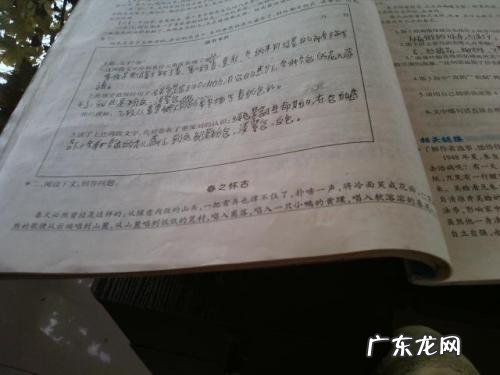 关于风的好词好句有哪些 【抖音文案】关于风的好词好句