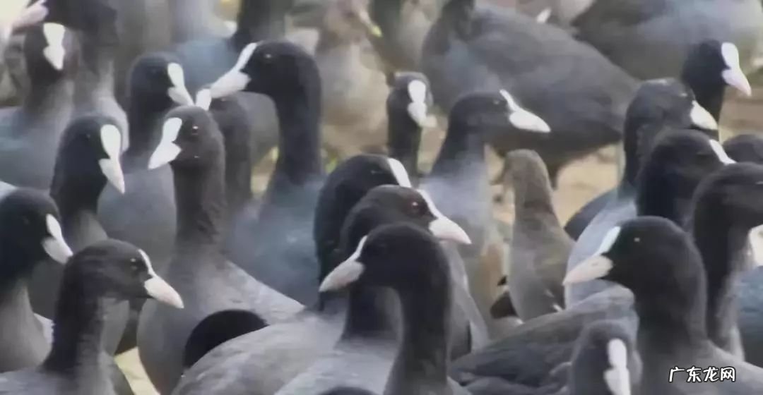 3个农产品营销经典案例 成功的农产品电商案例