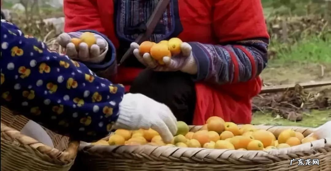 3个农产品营销经典案例 成功的农产品电商案例