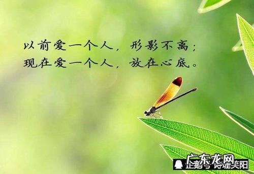 十二月份的句子 【抖音文案】十二月份的句子