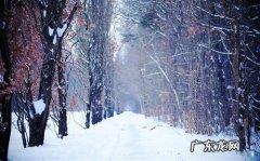 冬天堆雪人的优美句子 【抖音文案】冬天的优美短句子