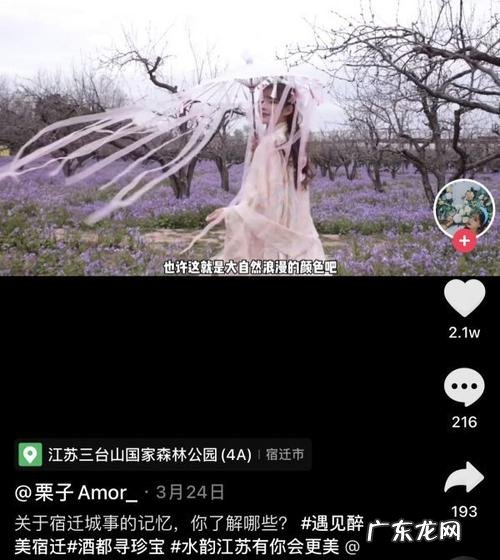 感恩相遇的抖音网红短句 【抖音文案】最美的相遇短句抖音