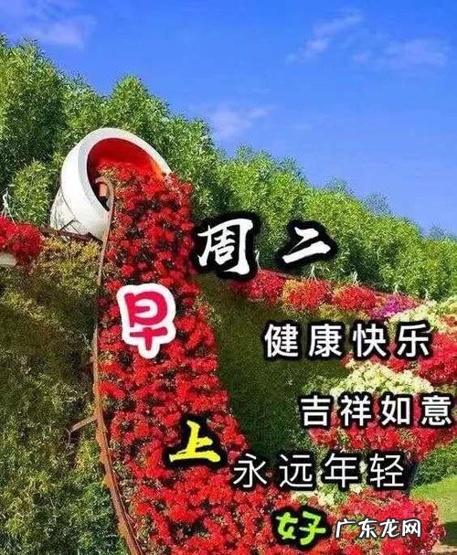 早上好表达友情的句子 【抖音文案】珍惜友情早上好的句子