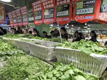 农产品出口数据在哪里查?有哪些渠道方法?