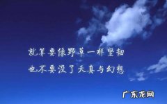小学生简短优美句子摘抄大全 【抖音文案】关于友情的优美句子简短