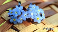 游玩心情好的唯美句子 【抖音文案】让心情好起来的唯美句子