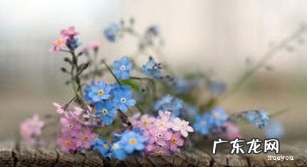 游玩心情好的唯美句子 【抖音文案】让心情好起来的唯美句子