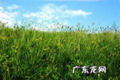 【抖音文案】体现丰富层次的写出夏天句子