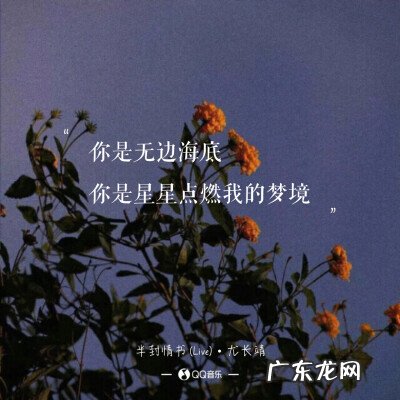 风和树的句子短句唯美 【抖音文案】有关于风的句子短句