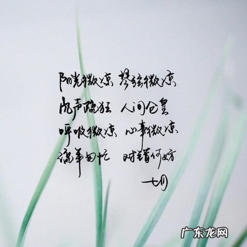 赞美十二个月的句子 【抖音文案】关于十二个月的唯美句子