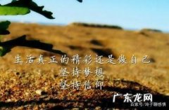 努力奋斗的句子 正能量 【抖音文案】送给努力奋斗的句子