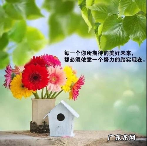 发表人生感人的句子 【抖音文案】感人的句子关于人生