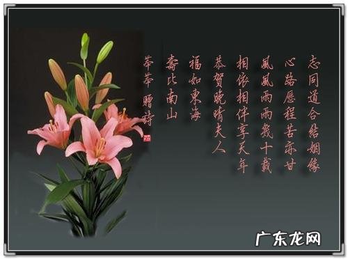 友情诗句经典诗句 【抖音文案】友情诗句经典