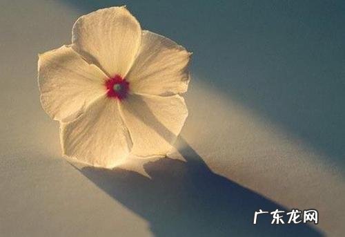 如果人生可以重来一句话经典 【抖音文案】人生岁月经典一句话