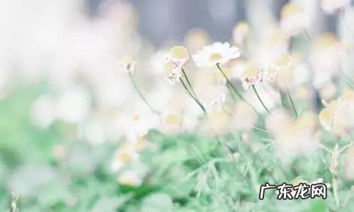 珍惜时光珍惜友情的优美句子 【抖音文案】珍惜友情珍惜时光句子