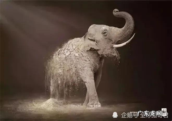 30组直击人心的公益广告 公益广告有哪些