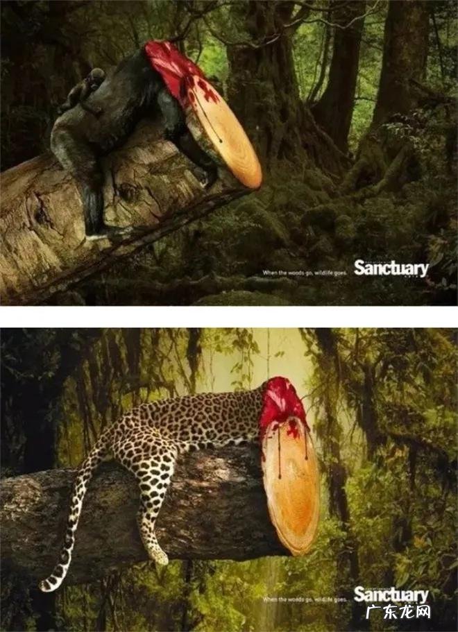 30组直击人心的公益广告 公益广告有哪些