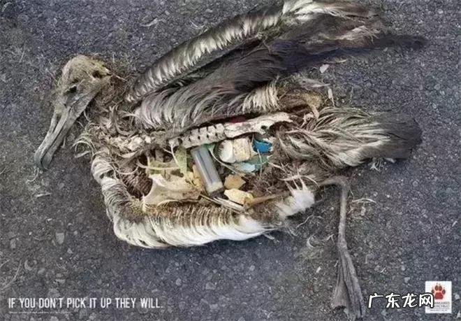 30组直击人心的公益广告 公益广告有哪些