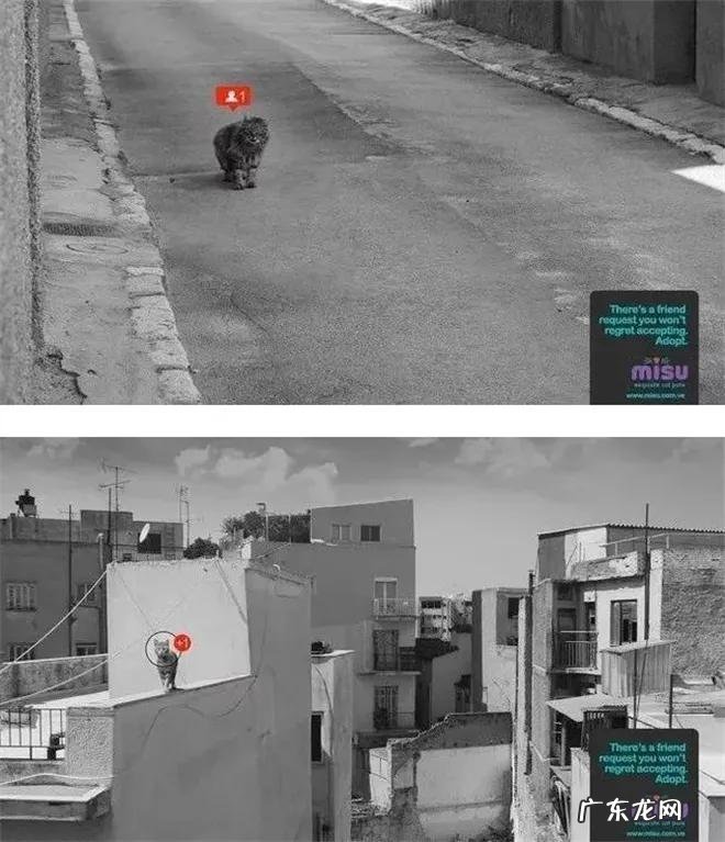 30组直击人心的公益广告 公益广告有哪些