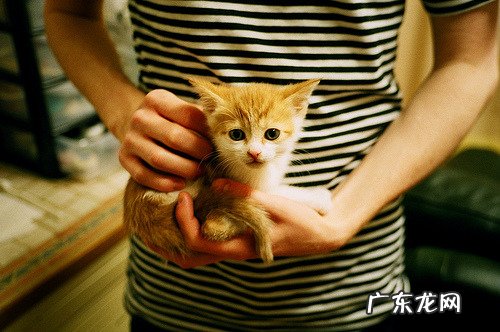 每天吃什么才能在保证身体健康的情况下减肥？