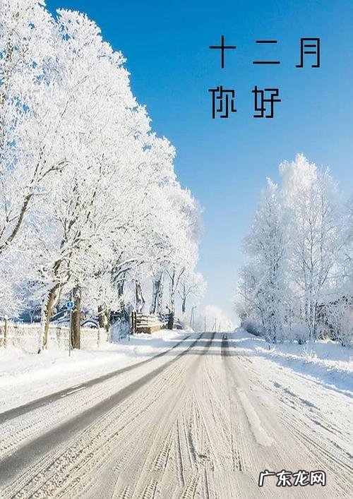 迎接十一月的句子短句唯美 【抖音文案】十一月到十二月的句子短句唯美