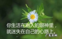 经典诗句励志人生感悟 【抖音文案】经典诗句人生感悟正能量