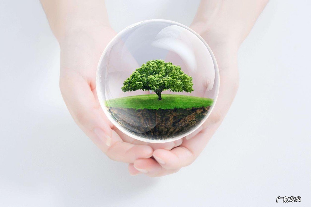 环境污染现状以及问题分析 中国的污染问题有哪些