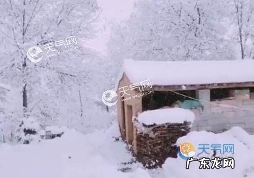 描写冬天寒冷优美句子二年级 【抖音文案】描写冬天寒冷优美句子