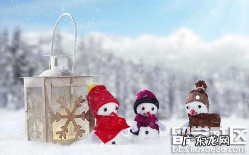 描写冬天寒冷优美句子二年级 【抖音文案】描写冬天寒冷优美句子