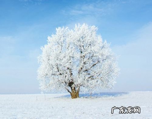 形容冬天的句子描写冬天的句子 【抖音文案】形容冬天的句子