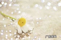 站在高楼看风景的朋友圈句子都是 【抖音文案】看风景发朋友圈的精美句子