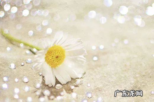 站在高楼看风景的朋友圈句子都是 【抖音文案】看风景发朋友圈的精美句子