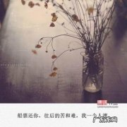 男人伤感励志语录经典短句 【抖音文案】经典伤感语录短句