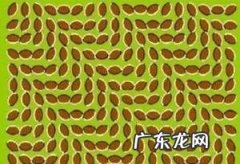 形容一个人眼力好的句子 【抖音文案】夸人眼力好的句子