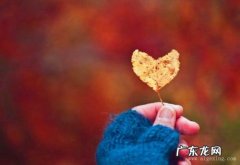 描写友谊的句子唯美超短句 【抖音文案】描写友谊长久的唯美句子