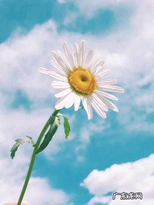 文案短句干净治愈阳光正能量 【抖音文案】干净短句正能量