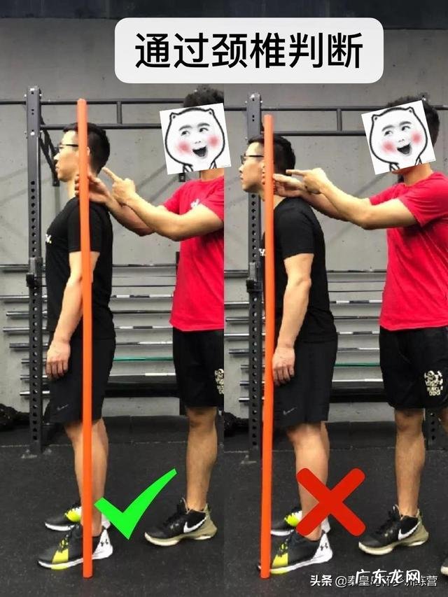 圆肩,驼背,富贵包,要怎样通过运动来调节呢