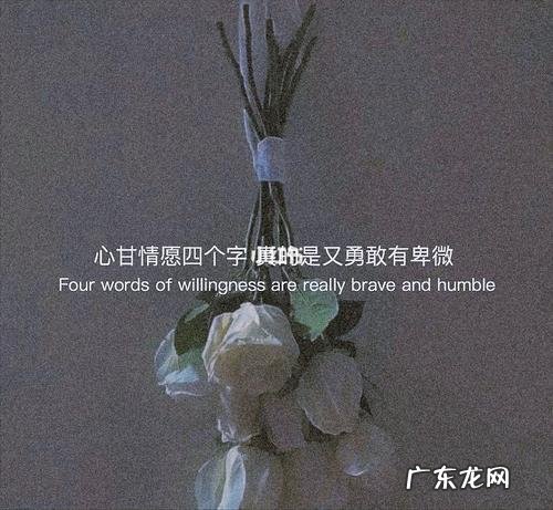 最新情感扎心语录 【抖音文案】句句扎心情感语录