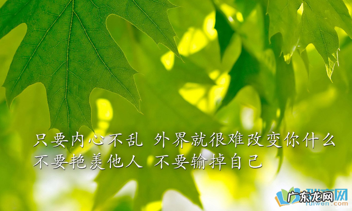 有哪些励志的句子可以发朋友圈的 【抖音文案】有哪些励志的句子