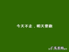 有哪些励志的句子可以发朋友圈的 【抖音文案】有哪些励志的句子