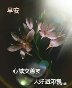 发早安的朋友圈的句子短句 【抖音文案】冬天早安的句子短句